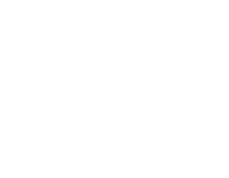 partner-representaciones-zubr